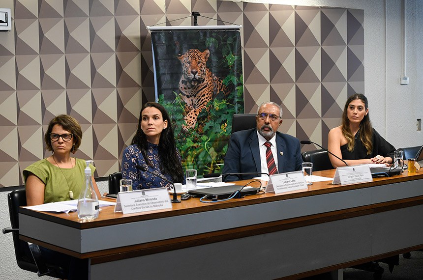 Mesa: 
secretária executiva do Observatório dos Conflitos Sociais do Matopiba, advogada em direitos humanos, sócia do escritório Hernandez Lerner e Miranda, Juliana Miranda;
defensora da Biodiversidade e do Clima na Environmental Justice Foundation - Brasil (EJF), Luciana Leite;
presidente da CDH, senador Paulo Paim (PT-RS);
prefeita de Jandaíra - Rio Grande do Norte, Marina Dias Marinho - representante do bioma Caatinga.